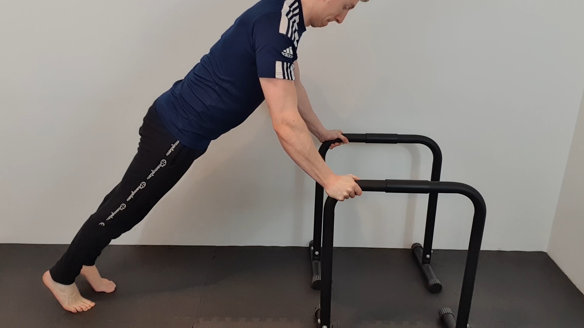 Full Range Push-Ups · erhöhte Griffe — Bild 1